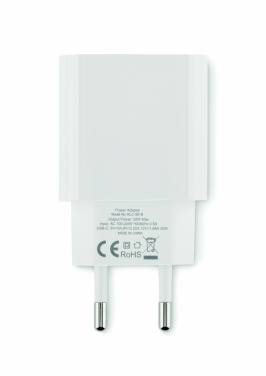 Logotrade meened pilt: 20W 2-pordiline USB-laadija EU pistik